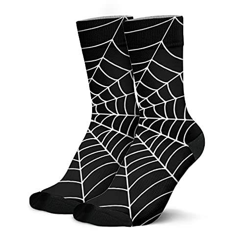Spider Web