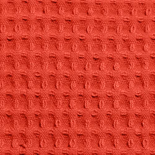 Bright Coral