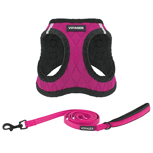 Harness Leash Set (Red Rose Plush)