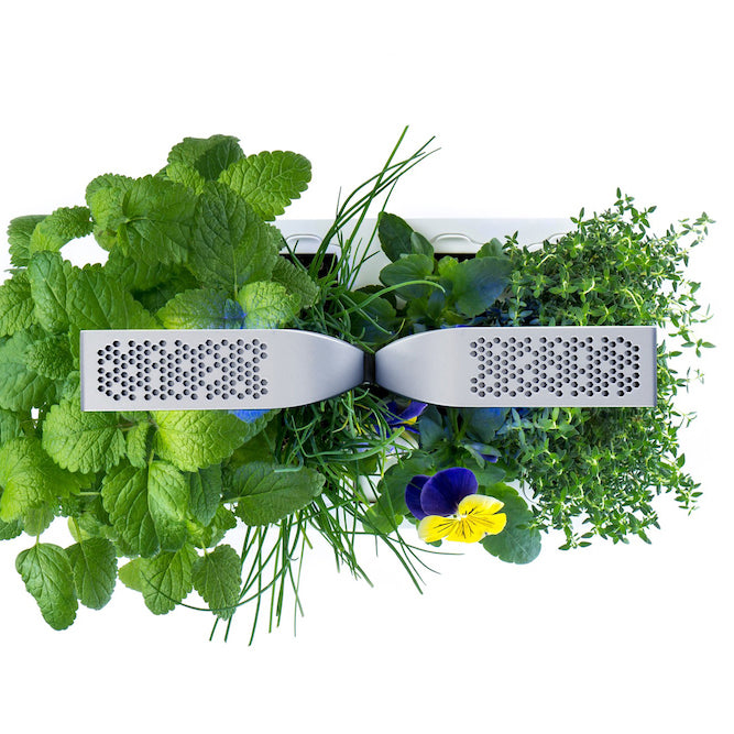 VERITABLE Smart Edition White - Indoor Herb Garden Kit with 4 Plants | Hydroponic Growing System for Fresh Herbs | Perfect for Kitchen, Office, or Home Decor