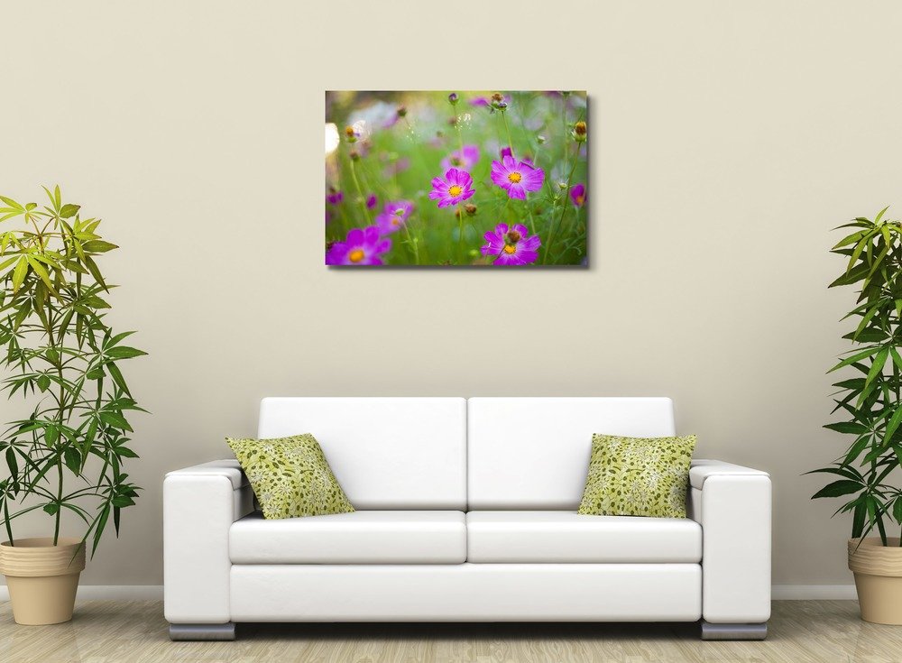 Pink Cosmos Flowers Canvas Print - 24x36 Inch Stretched Gallery Wrap, Modern Wall Art & Home Decor, Ready to Hang | Perfect for Living Room, Bedroom, Office & Gifts
