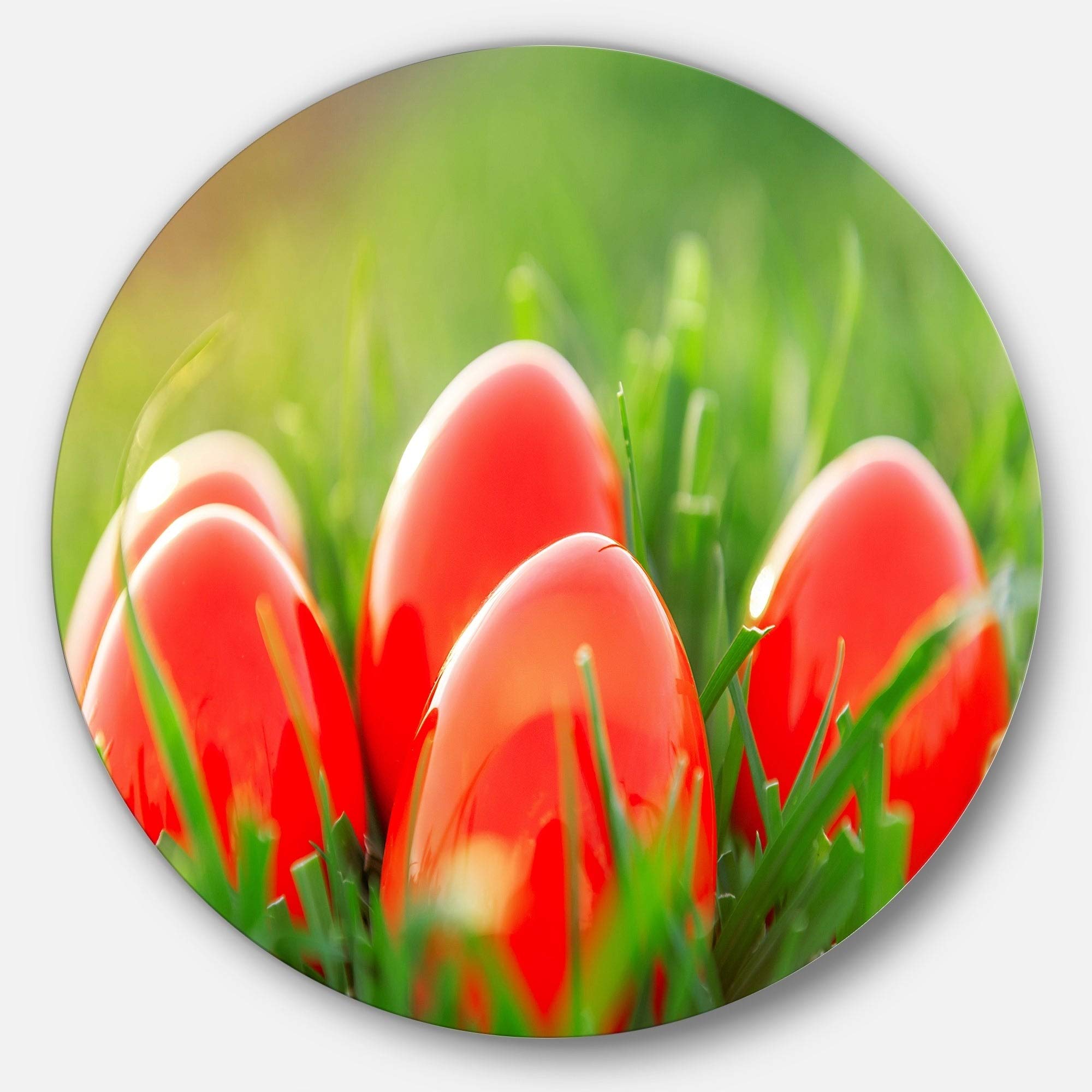 Designart 'Red Easter Eggs in Green Grass' Landscape Photo Round Metal Wall Decor - 29 Inch Circular Artwork for Living Room, Bedroom & Office Decor
