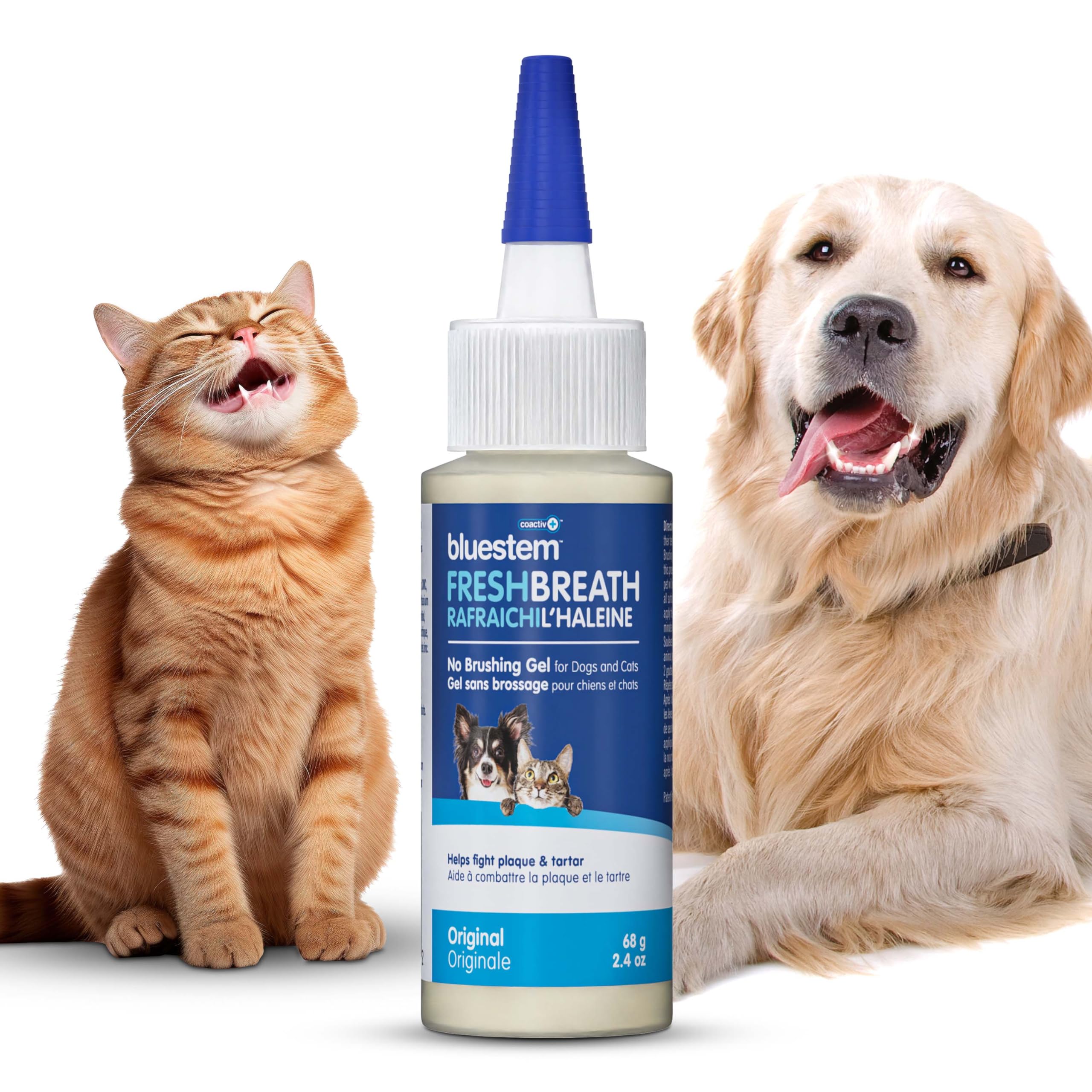 BluestemTM No Brush Dog Dental Gel - Fresh Breath & Plaque Tartar Control for Dogs | Brushless Toothpaste for Easy Oral Care | Perfect for Daily Use & Anxious Pets