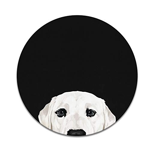 White Labrador Retriever Dog