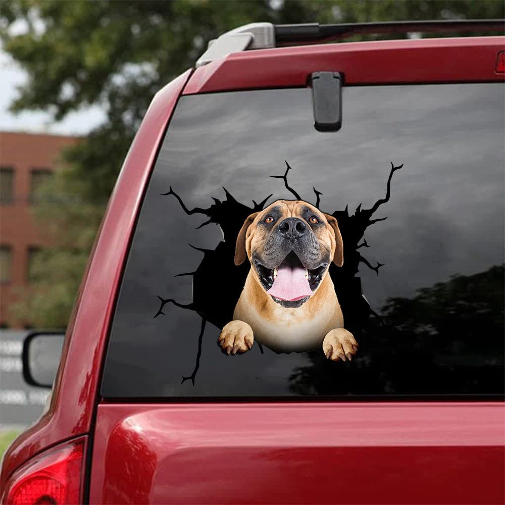 Funny Boerboel Dog Crack Car Sticker - Vinyl Window Decal for Cars, Trucks & Laptops - Perfect Gift for Boerboel Lovers - Great for Personalizing Vehicles, Home & Office Decor