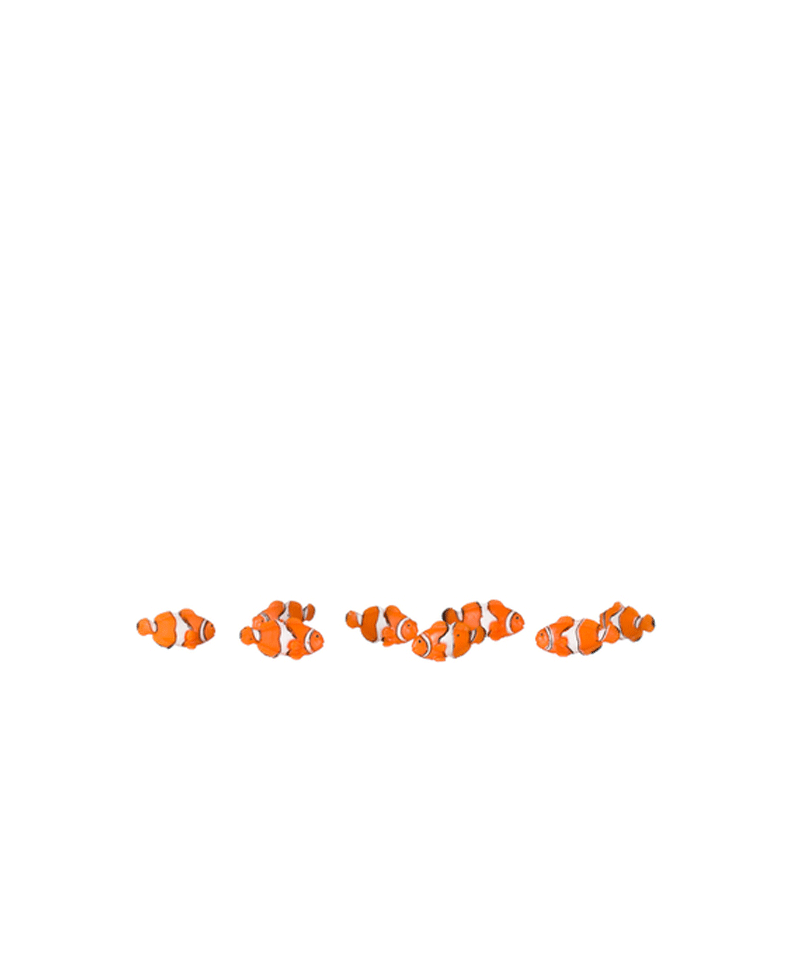 Mini Rubber Animal Toys for Kids - 12 Pack Small Stretchy Animal Figures for Sensory Play, Party Favors, and Educational Learning - Perfect for Birthday Gifts, Classroom Rewards, and Stress Relief