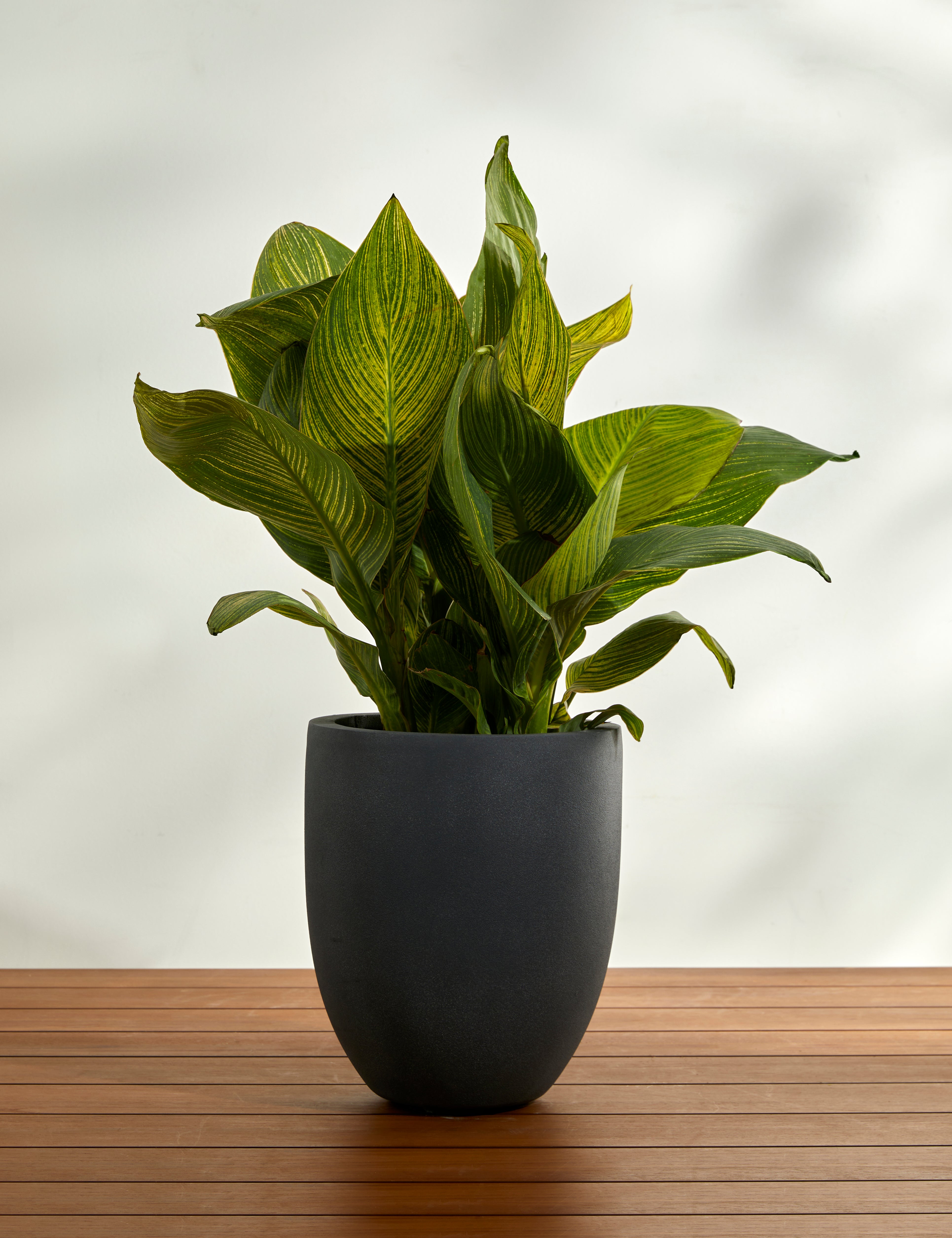 Campania International Bradford Planters - Elegant Garden Planters for Outdoor & Indoor Decor - Perfect for Patios, Balconies, and Home Gardens