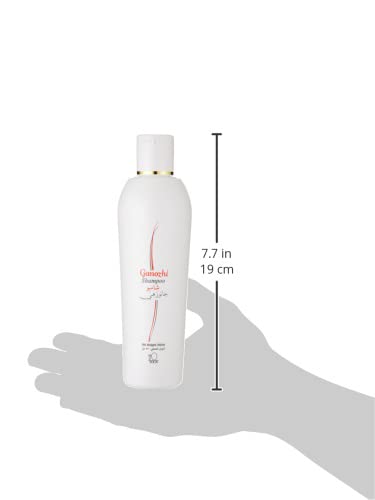 DXN Ganozhi Shampoo with Ganoderma Extract - Natural Hair Care for Dry, Damaged Hair - Promotes Hair Growth & Scalp Health - Perfect for Daily Use at Home or Salon