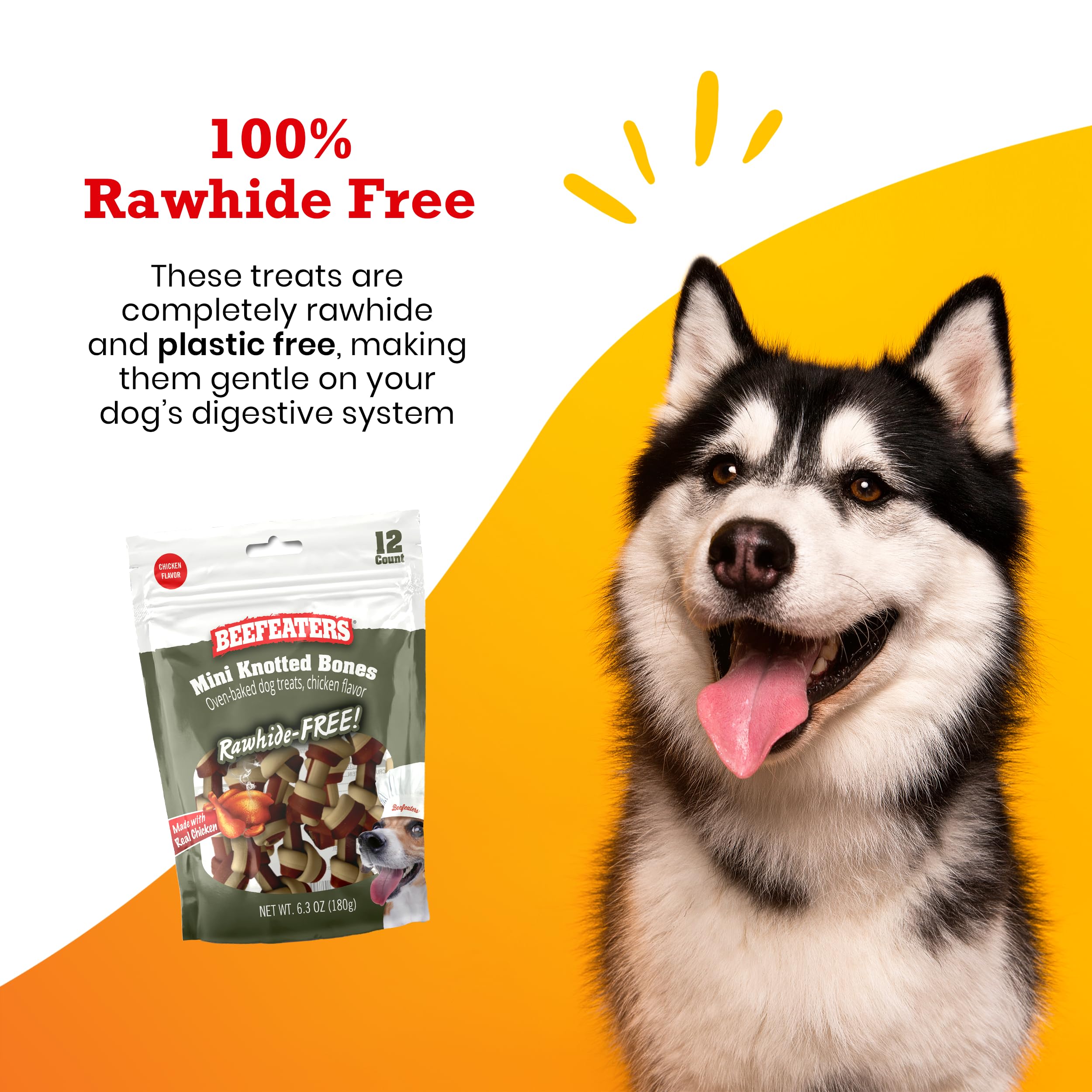 Beefeaters Mini Knotted Bone Chicken Flavor Dog Treats - 12ct | Rawhide-Free, All-Natural, No Artificial Flavors | Healthy Digestion & Teeth Cleaning | Training Treats for Small, Medium & Large Dogs | Perfect for Reward, Training & Dental Care