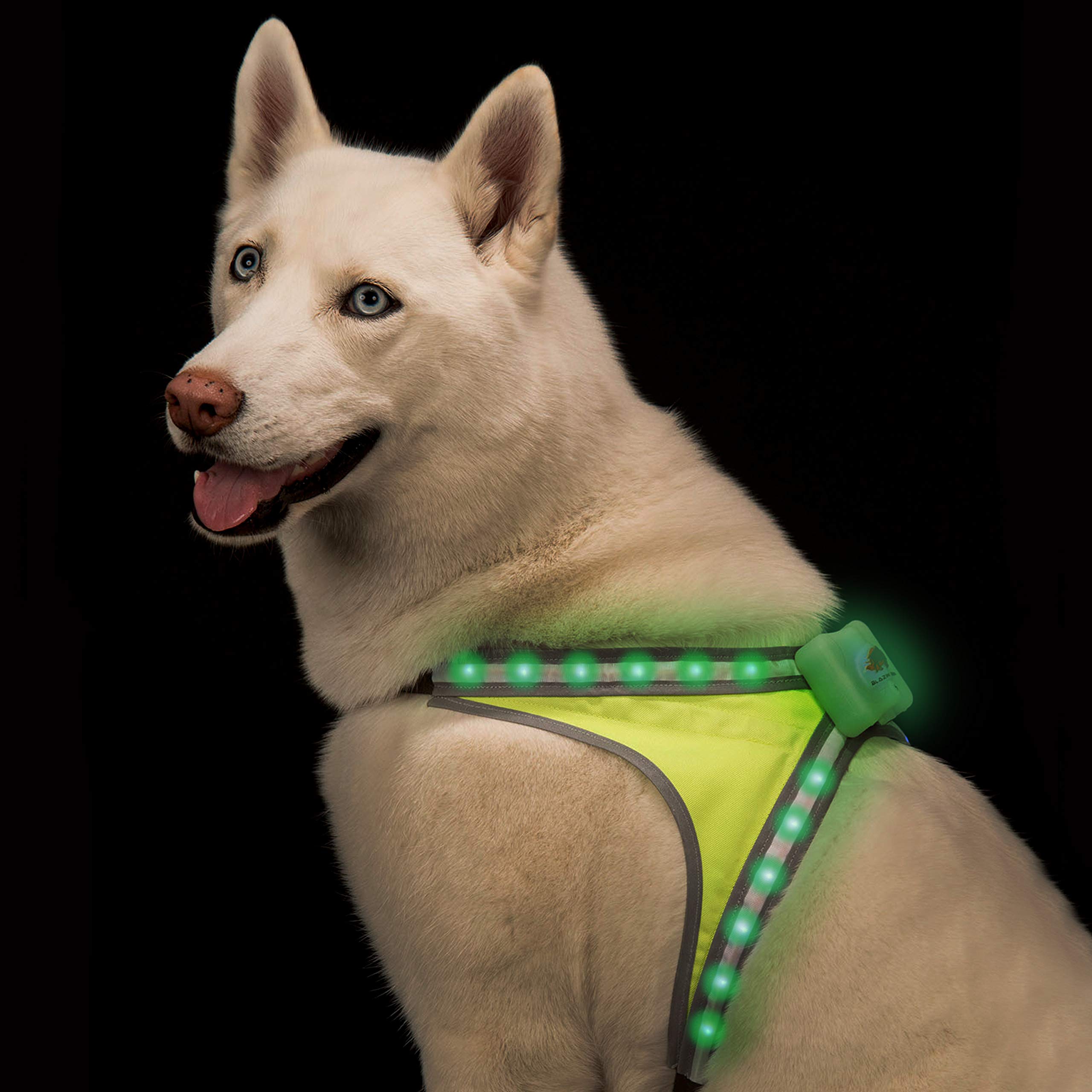 BLAZIN Safety LED Dog Harness - USB Rechargeable, Waterproof, Adjustable Pet Vest with 8 Color Lights & 6 Flashing Modes - Visible Up to 1000 Feet - Perfect for Night Walks, Jogging, and Outdoor Adventures (Small)