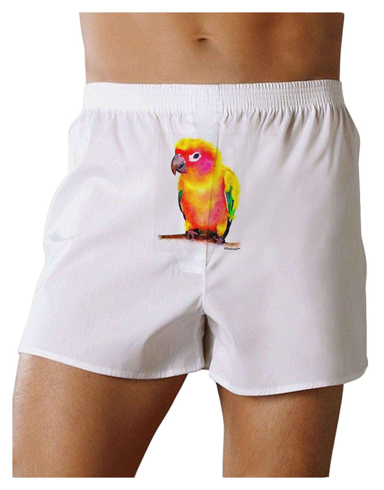 TOOLOUD Sun Conure Parrot Watercolor Print Boxer Shorts - Soft Cotton Men's Underwear for Casual Wear & Lounge