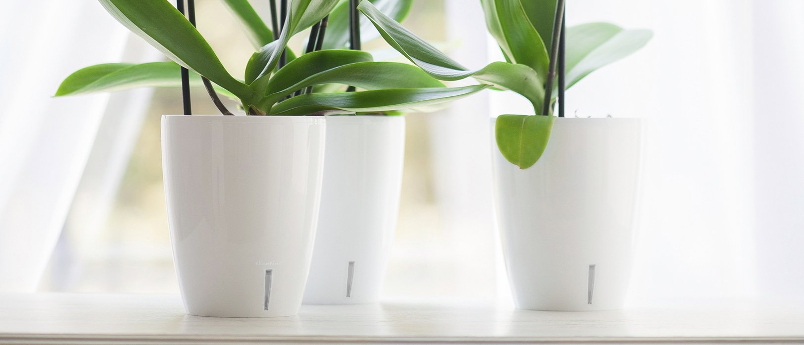 5.5 Inch Self Watering Orchid Pot with Wick System - Decorative Planter with Aerification, Drainage & Water Level Indicator for Healthy Orchid Growth - Perfect for Home, Office, and Indoor Garden Decor