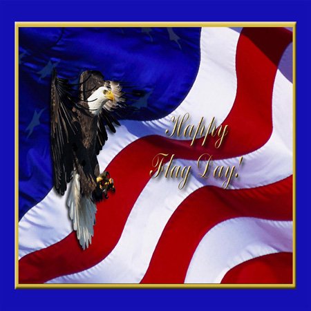 3D Rose Flag Day Bald Eagle with American Flag Light Switch Cover - Patriotic Home Decor for Living Room, Bedroom, or Office