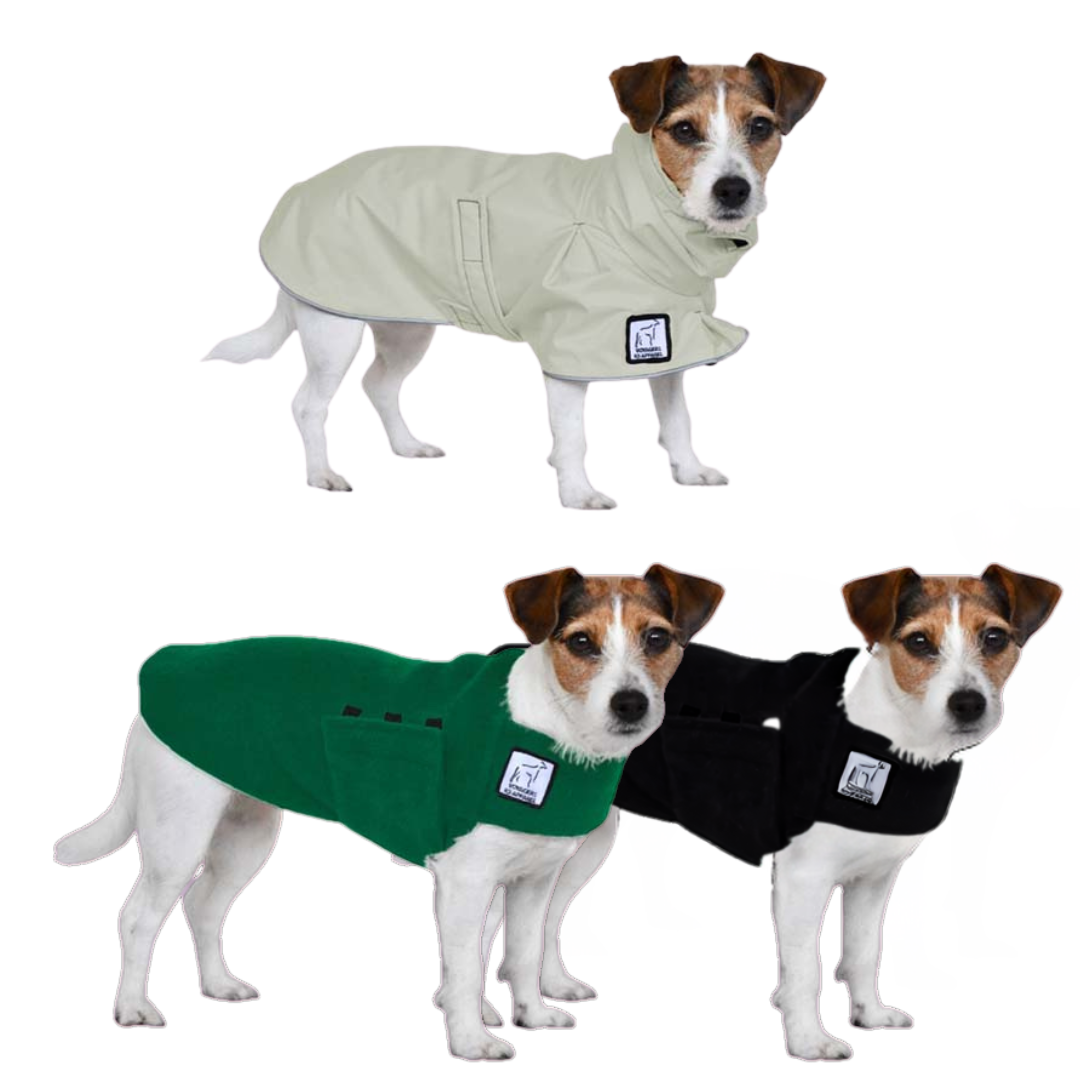 Jack Russell Terrier Dog Accessories Bundle - Collar, Leash & Bandana Set for Small Dogs | Perfect for Walking, Training & Outdoor Adventures