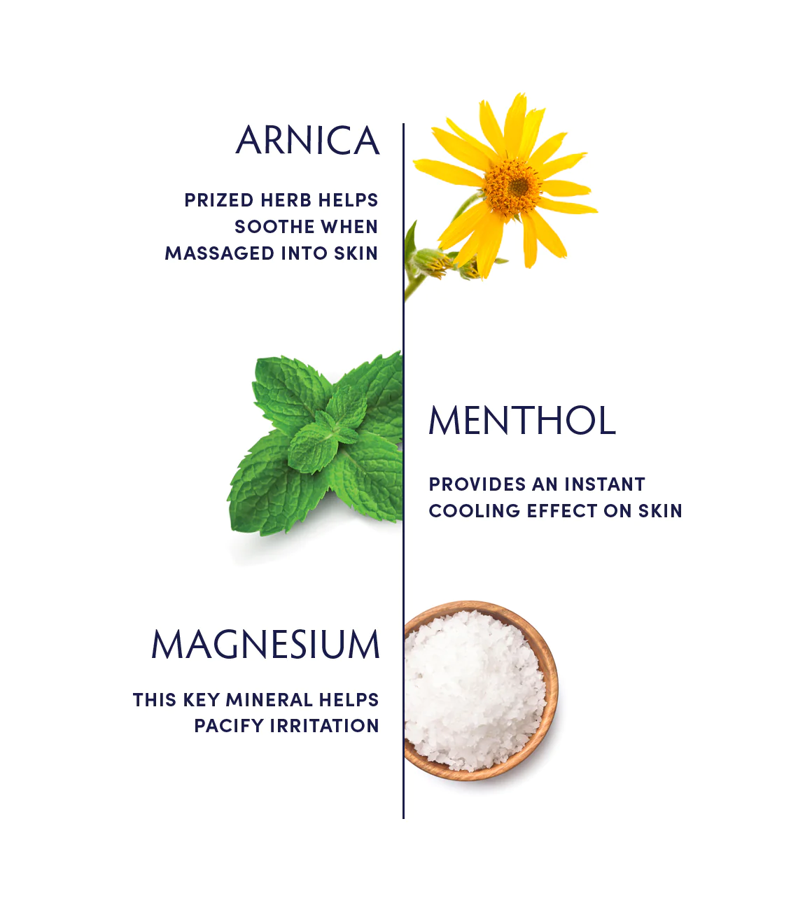 Naturopathica Alpine Arnica & Magnesium Gel - Soothing Muscle Relief for Athletes & Active Lifestyles - Post-Workout Recovery & Joint Pain Relief
