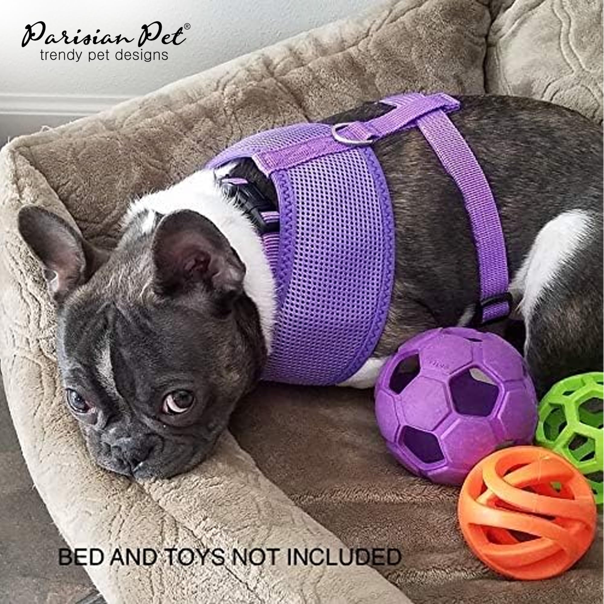 Parisian Pet Girl Dog Harness - Soft Padded Lilac Mesh Vest Harness for Small Dogs - Breathable & Cooling Dog Harness for Walking, Running, Hiking - Perfect for Summer Outdoor Adventures with Your Puppy - Size S