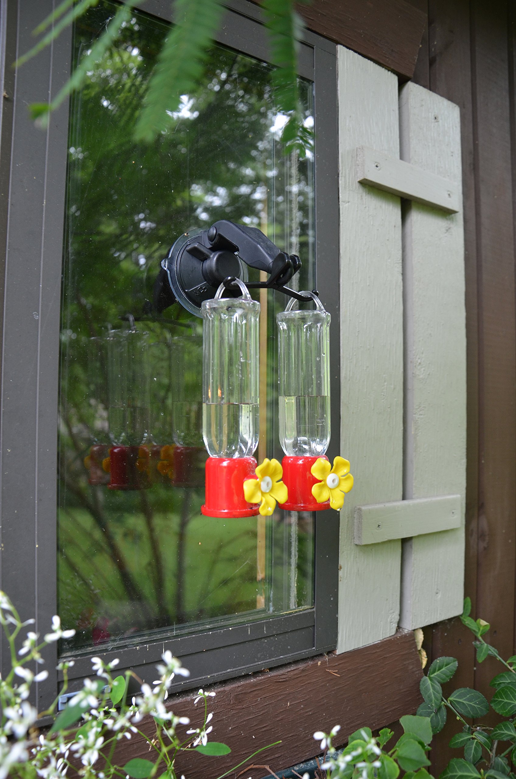 Red Carpet Studios 41254 Hummingbird Feeder with Double Window Hook - Attract Beautiful Hummingbirds to Your Garden or Patio