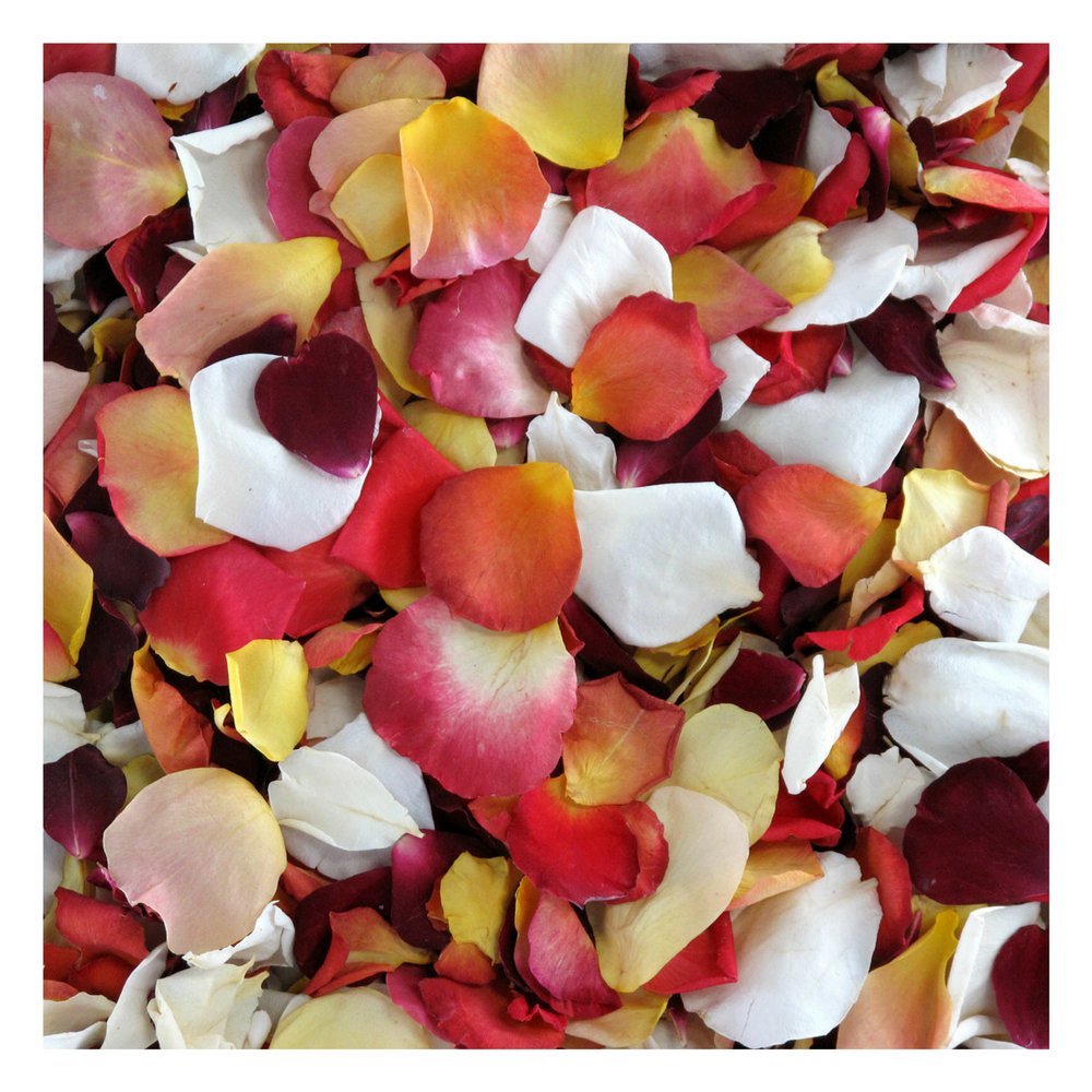 Flyboy Naturals Sunset Blend Rose Petals - 15 Cups (Approx. 600 Petals) for Wedding Decorations, Romantic Proposals & Spa Baths | Premium Dried Flower Petals for Events & Home Decor
