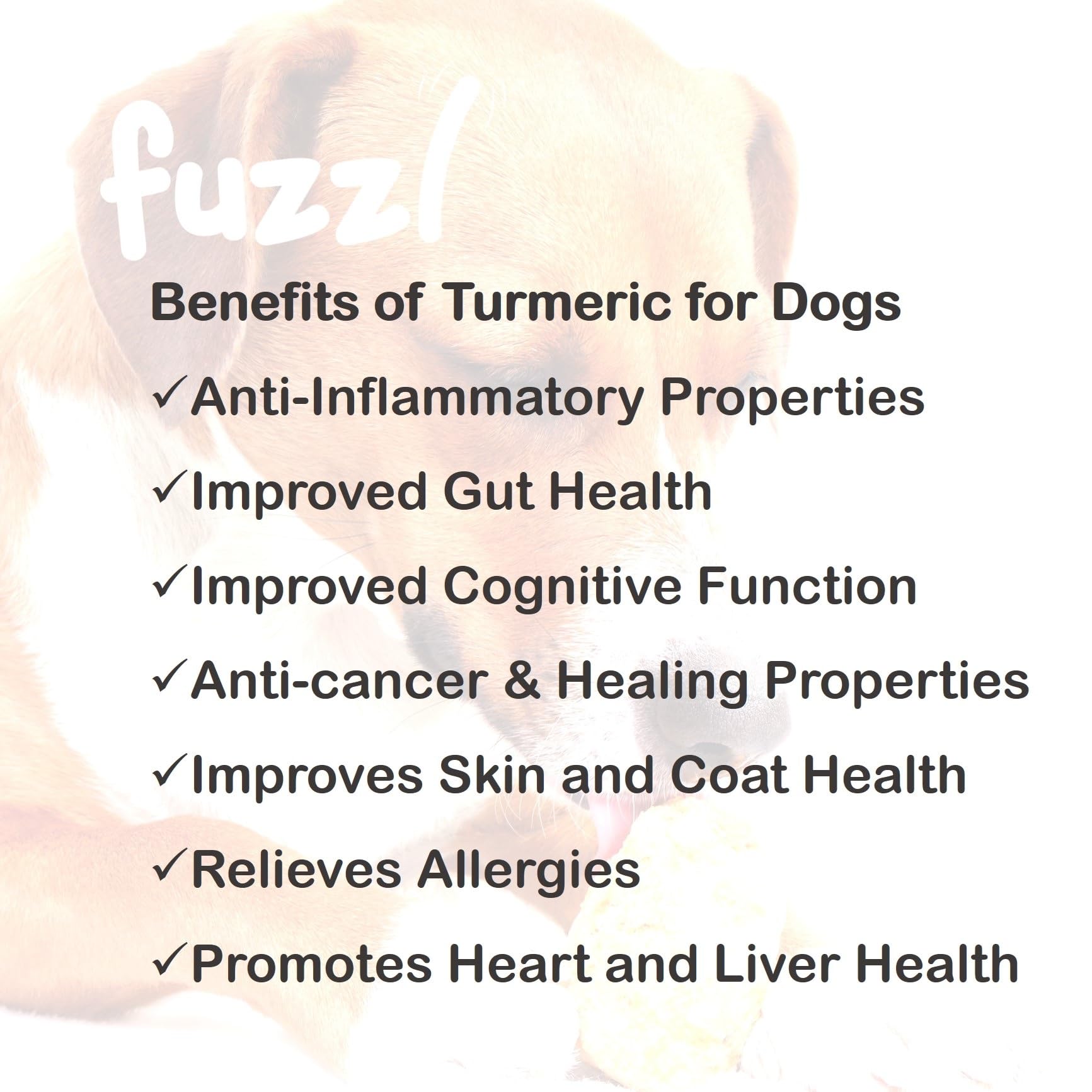 Premium Himalayan Yak Cheese Dog Chews with Turmeric Superfood - 6 Pack Natural Long-Lasting Dental Treats for Small Dogs | Healthy Alternative to Milkbone & Hide Chews | Perfect for Teething, Training, and Dental Care