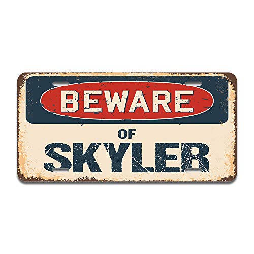Beware of Skyler
