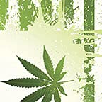 Weed Nation