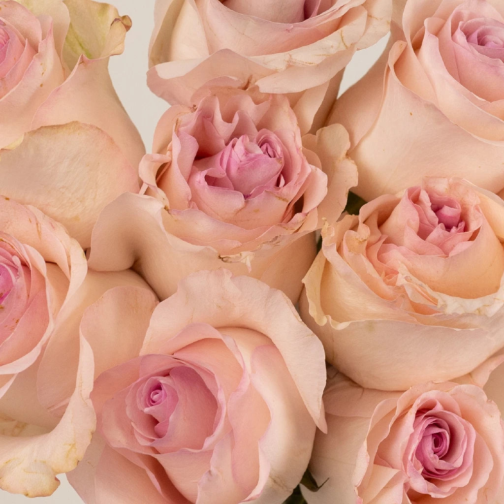 Blushing Arleen Rose - Elegant Artificial Silk Rose Bouquet for Home Decor, Wedding Centerpieces, and Gift Giving