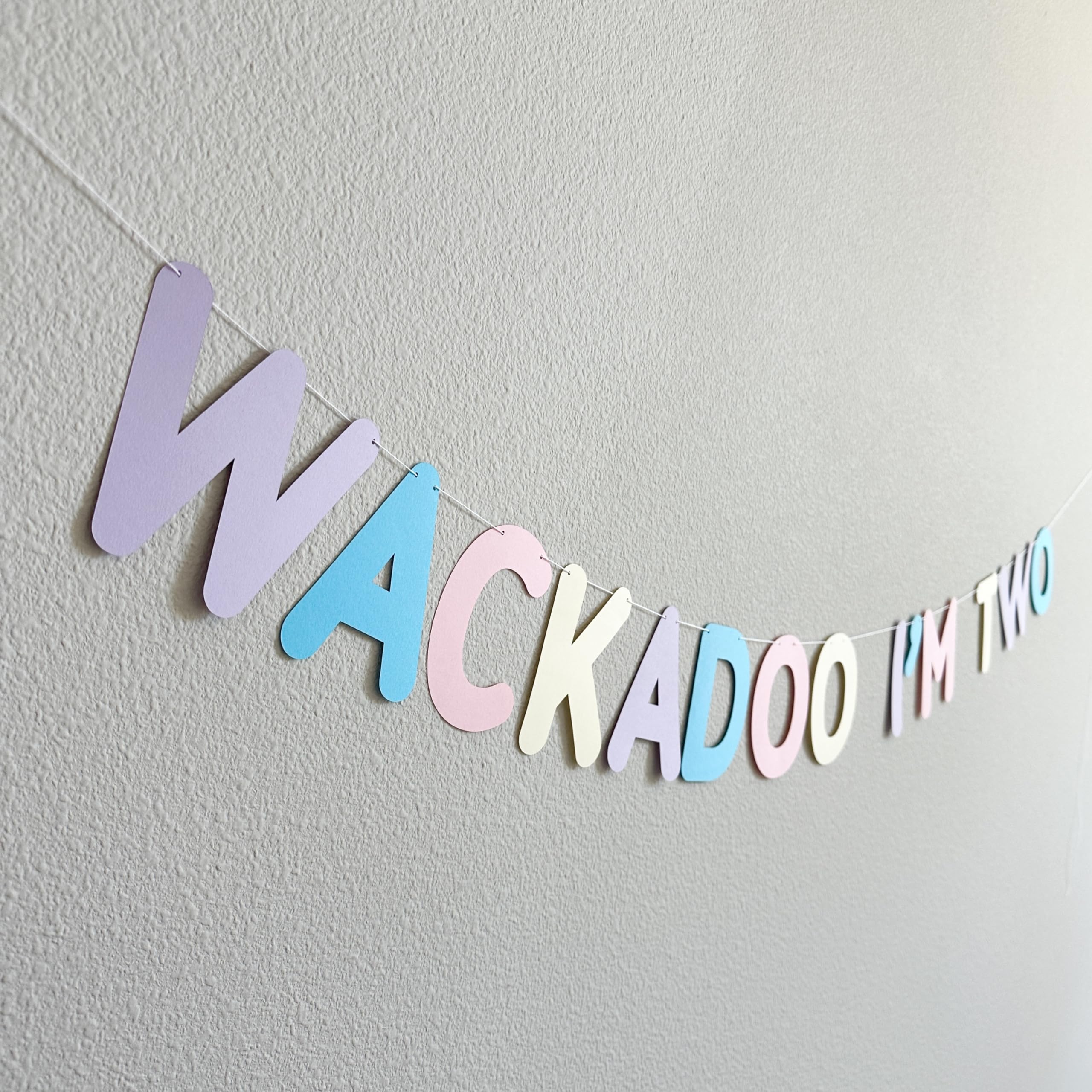Wackadoo I'm Two Birthday Banner - Blue 2nd Birthday Party Decorations for Kids - Perfect for Baby's Second Birthday Party, Nursery Decor & Photo Backdrop