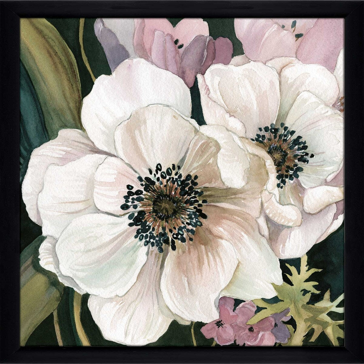 Anemone Study I by Carol Robinson - Premium Acrylic Wall Art Print - Perfect for Living Room, Bedroom & Office Decor