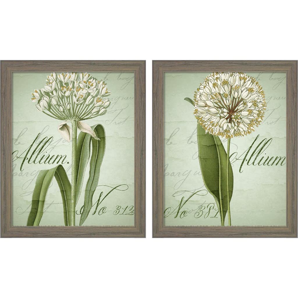 Allium by Color Bakery - 2 Piece Rustic Gray Framed Wall Art Set (9x11 Inches Each) - Green and White Floral Paintings for Living Room, Bedroom & Office Decor