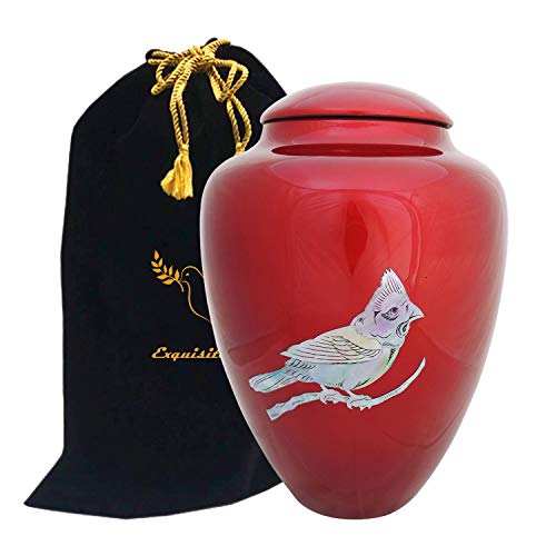 Red Cardinal