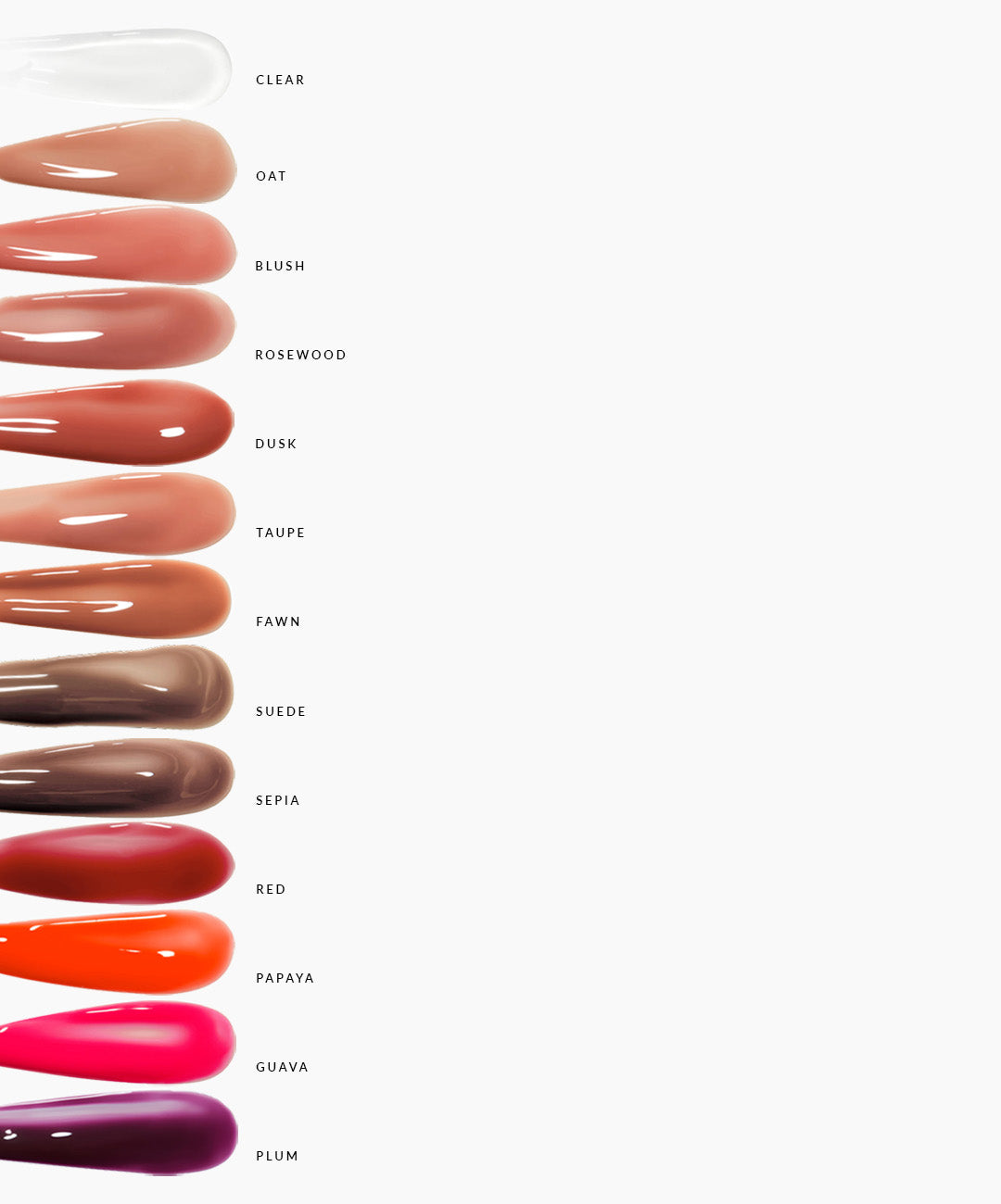 Lip Collection - Premium Lip Care & Cosmetics for Soft, Hydrated Lips | Perfect for Daily Use, Gifting & Special Occasions