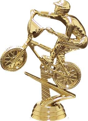 Custom Engraved Purple BMX Bike Trophy for Men - Personalized Crown Awards for BMX Riders & Cycling Competitions | Perfect for Championship Ceremonies, Sports Awards & Achievement Recognition