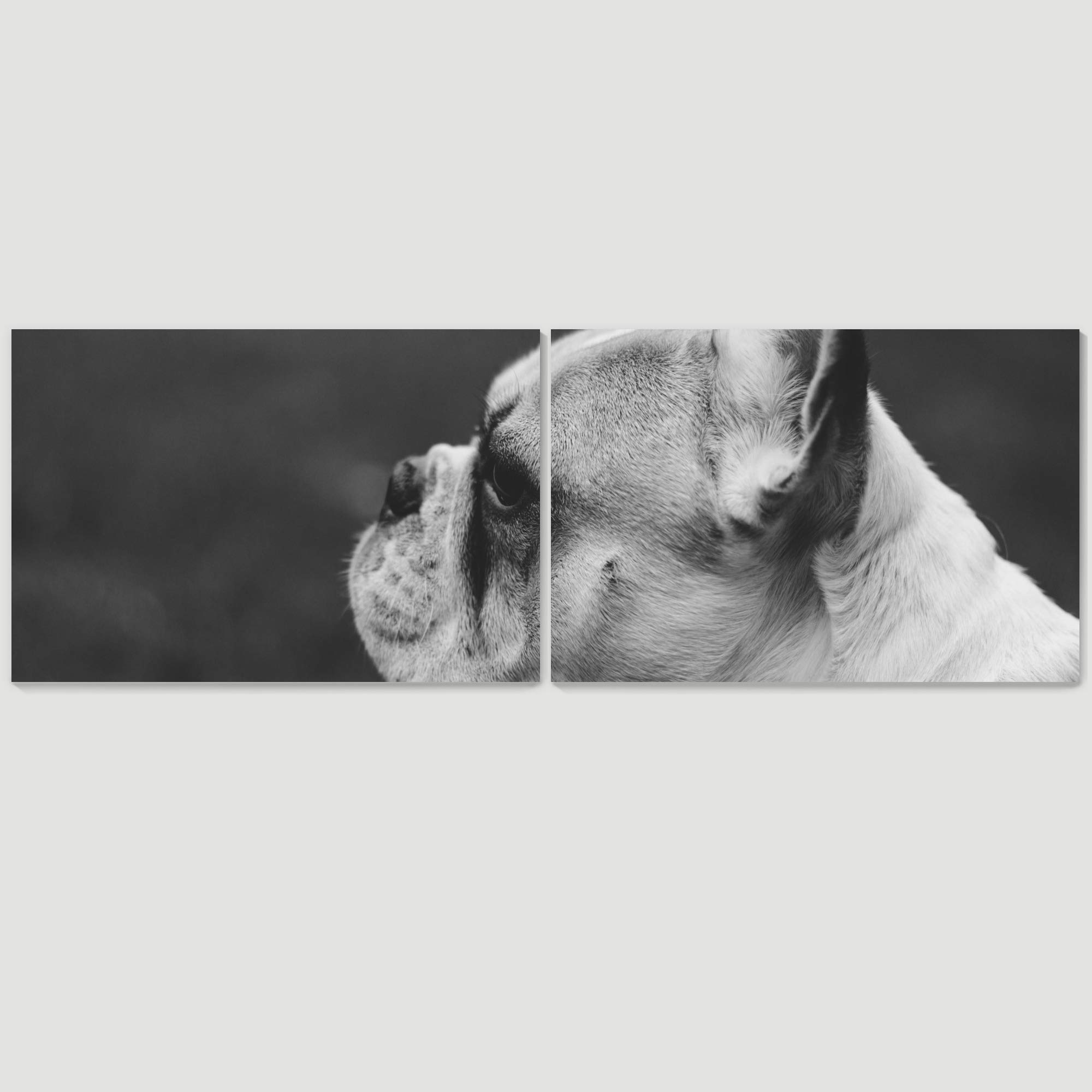 2-Panel Modern Black and White French Bulldog Canvas Wall Art Set - 24