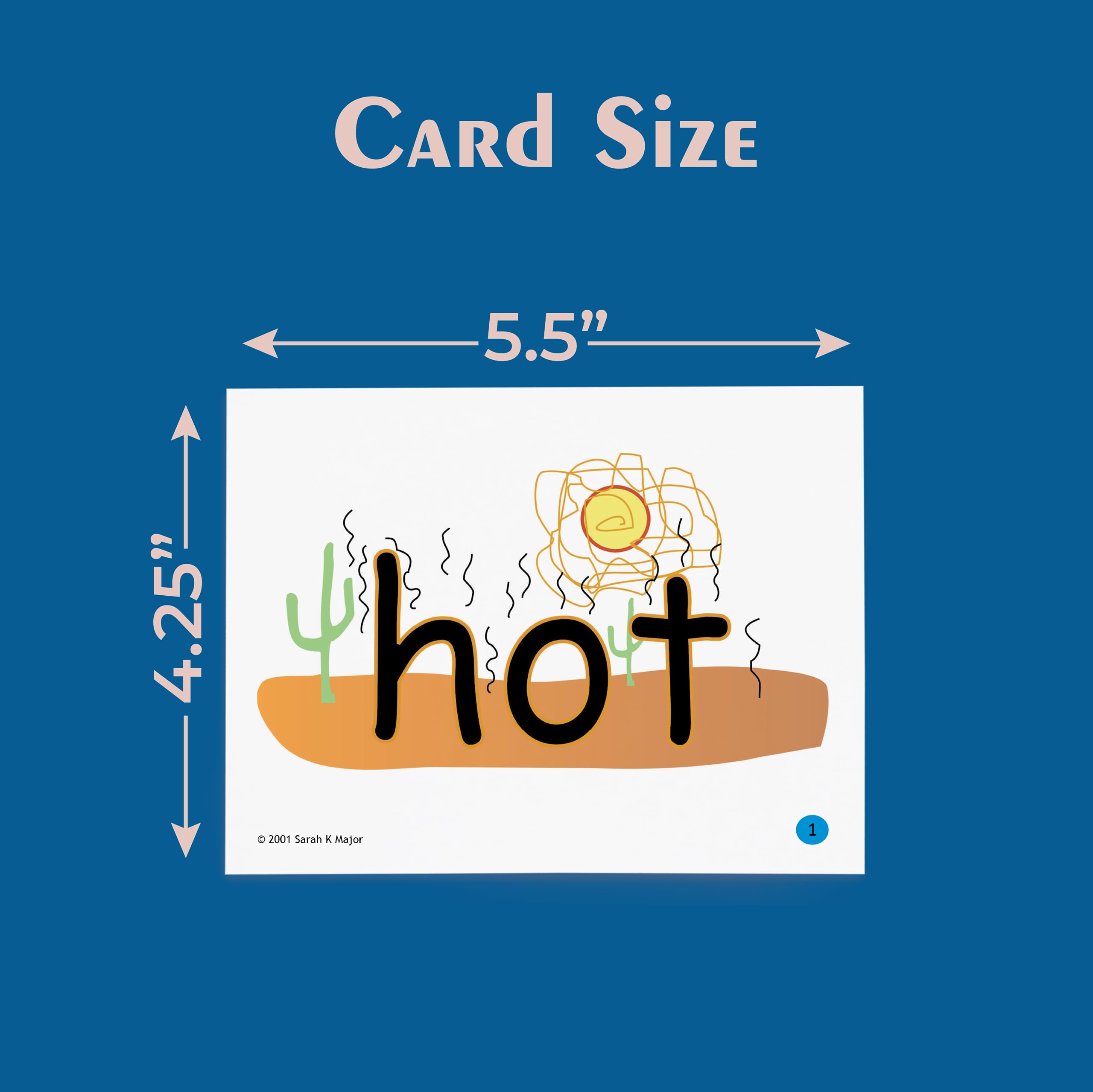 301 SnapWords® Teaching Cards - Multisensory & Kinesthetic Learning Tools for ESL/ELL Students | Sight Word Flash Cards for Classroom & Homeschool Reading Activities