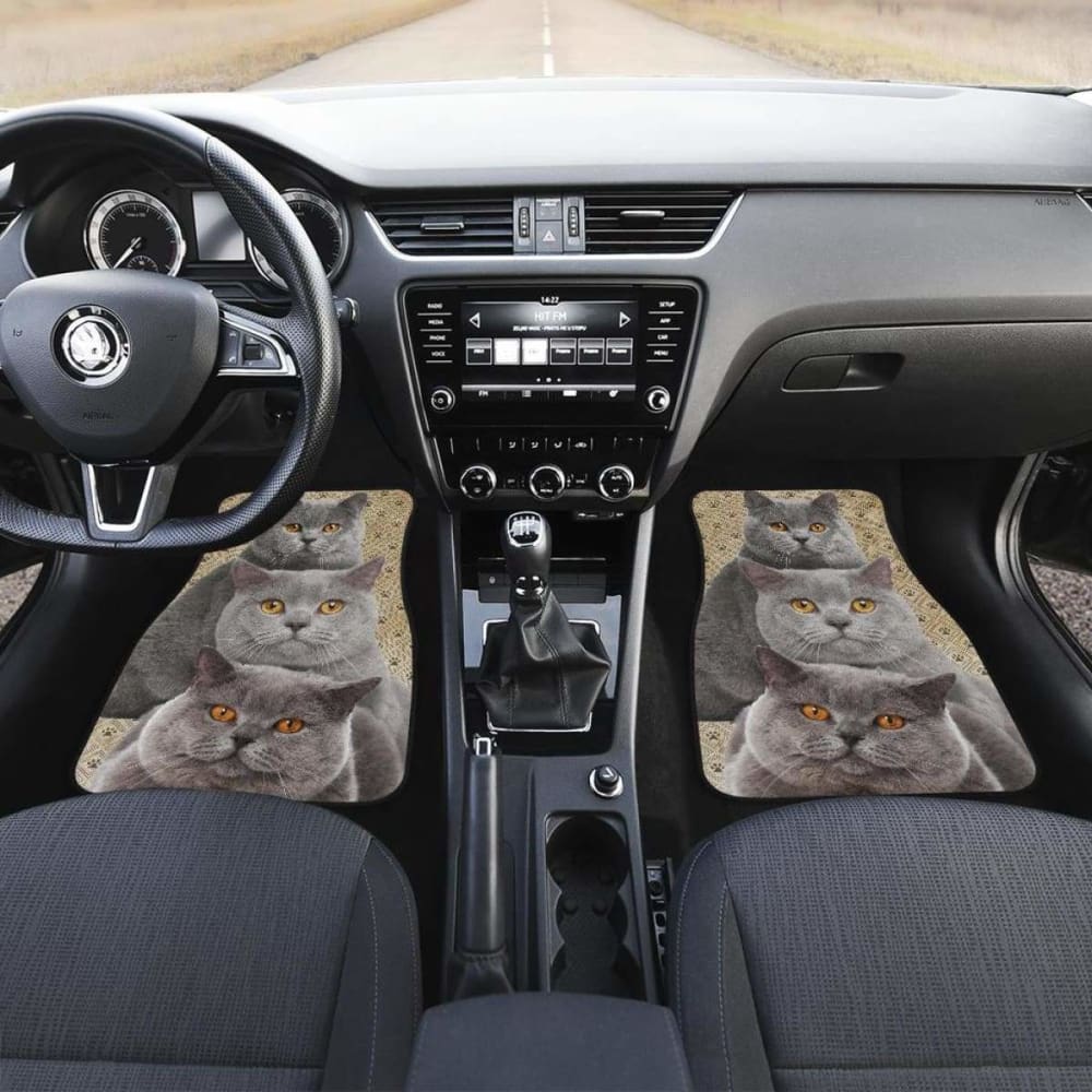 British Shorthair Cat Car Floor Mats - Non-Slip, Waterproof Pet Car Accessories for Cat Lovers | Perfect for Road Trips & Daily Commute with Your Feline Friend