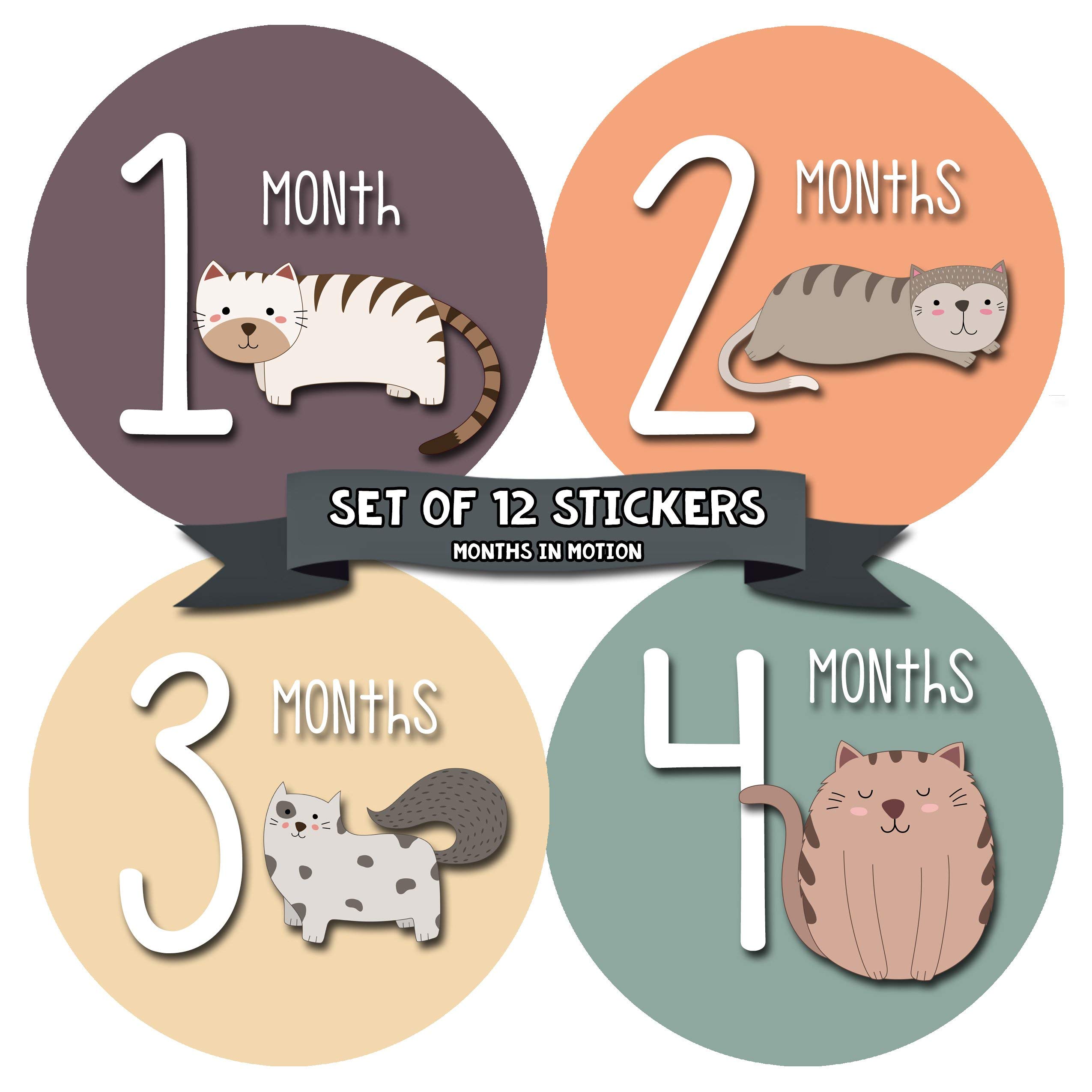 Baby Monthly Milestone Stickers for Newborn Girls - Cute Cat & Kitten Design - Perfect for Baby Photo Shoots, Scrapbooking & First Year Memory Keepsakes