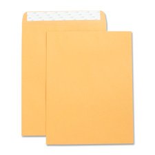 Self-Sealing Kraft Catalog Envelopes 10x13 Inches - 250 per Box (1 Box) | Eco-Friendly Mailing & Office Supplies for Business, Invoices & Documents
