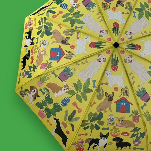 Waterproof Dog Umbrella for Rainy Days - Large Pet Umbrella for Walking Dogs in All Weather - Perfect for Outdoor Adventures with Your Dog