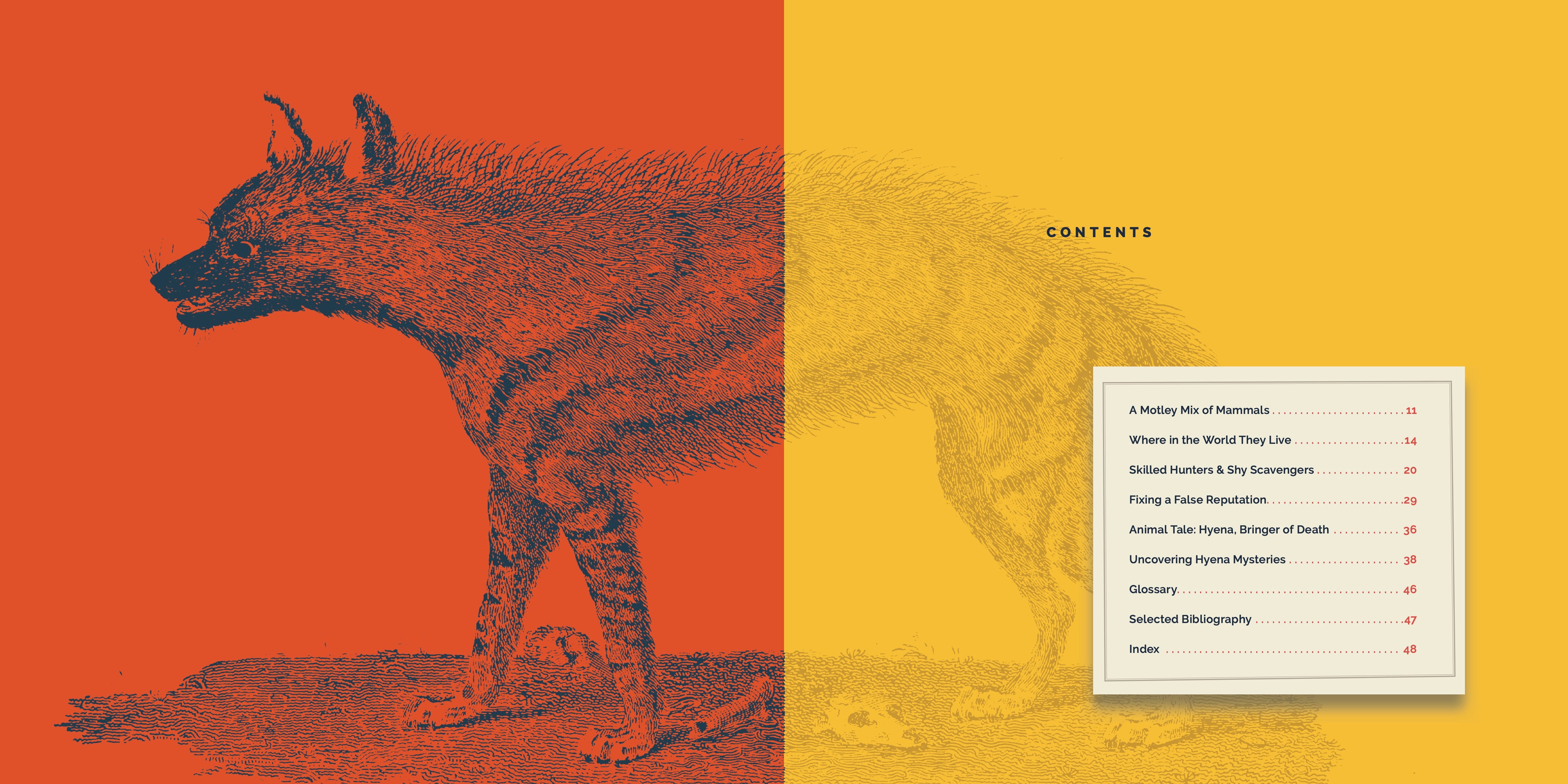 Hyenas Book - 9781640267879 - Wildlife Education & Animal Facts for Kids, Adults - Perfect for School Projects & Nature Enthusiasts