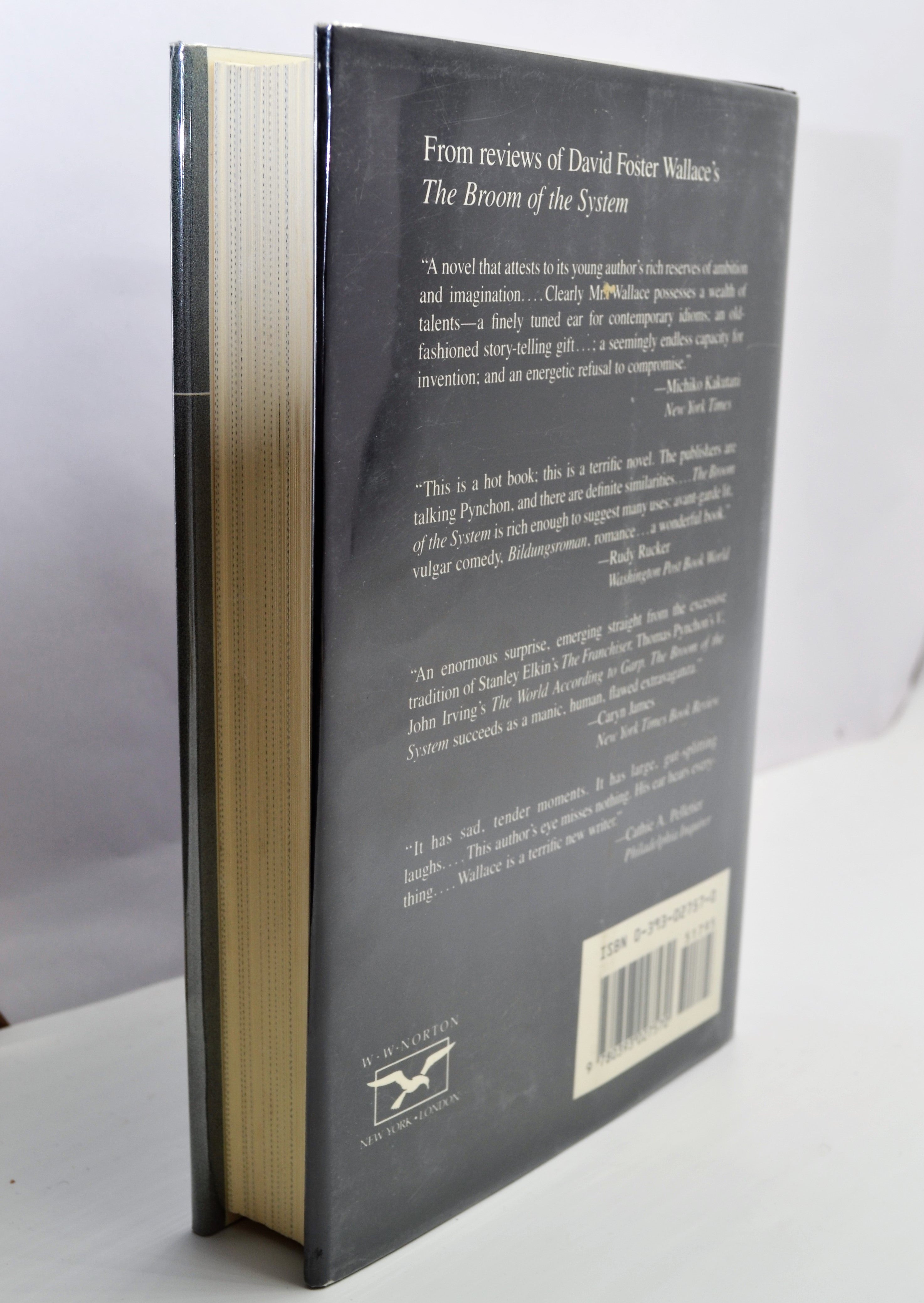 Foster Wallace David - Girl With Curious Hair Book | Literary Fiction Novel by David Foster Wallace | Perfect for Book Clubs & Literature Lovers