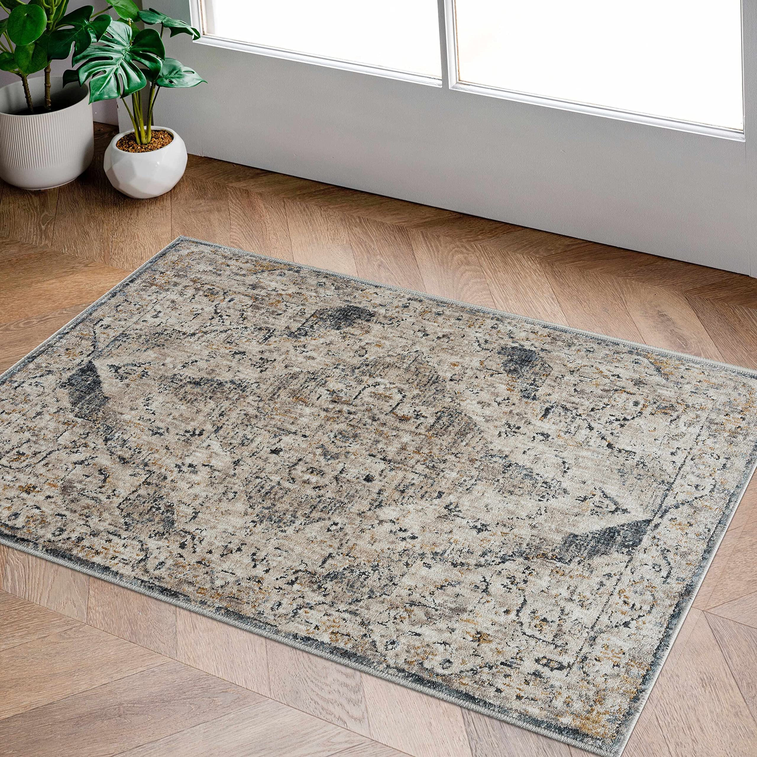 Hauteloom Wadeye Traditional Gray and Blue Area Rug 2'7