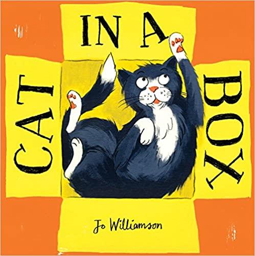 Funny Cat in a Box Toy - Interactive Playhouse for Indoor Cats - Perfect for Playtime, Hideouts & Photo Shoots