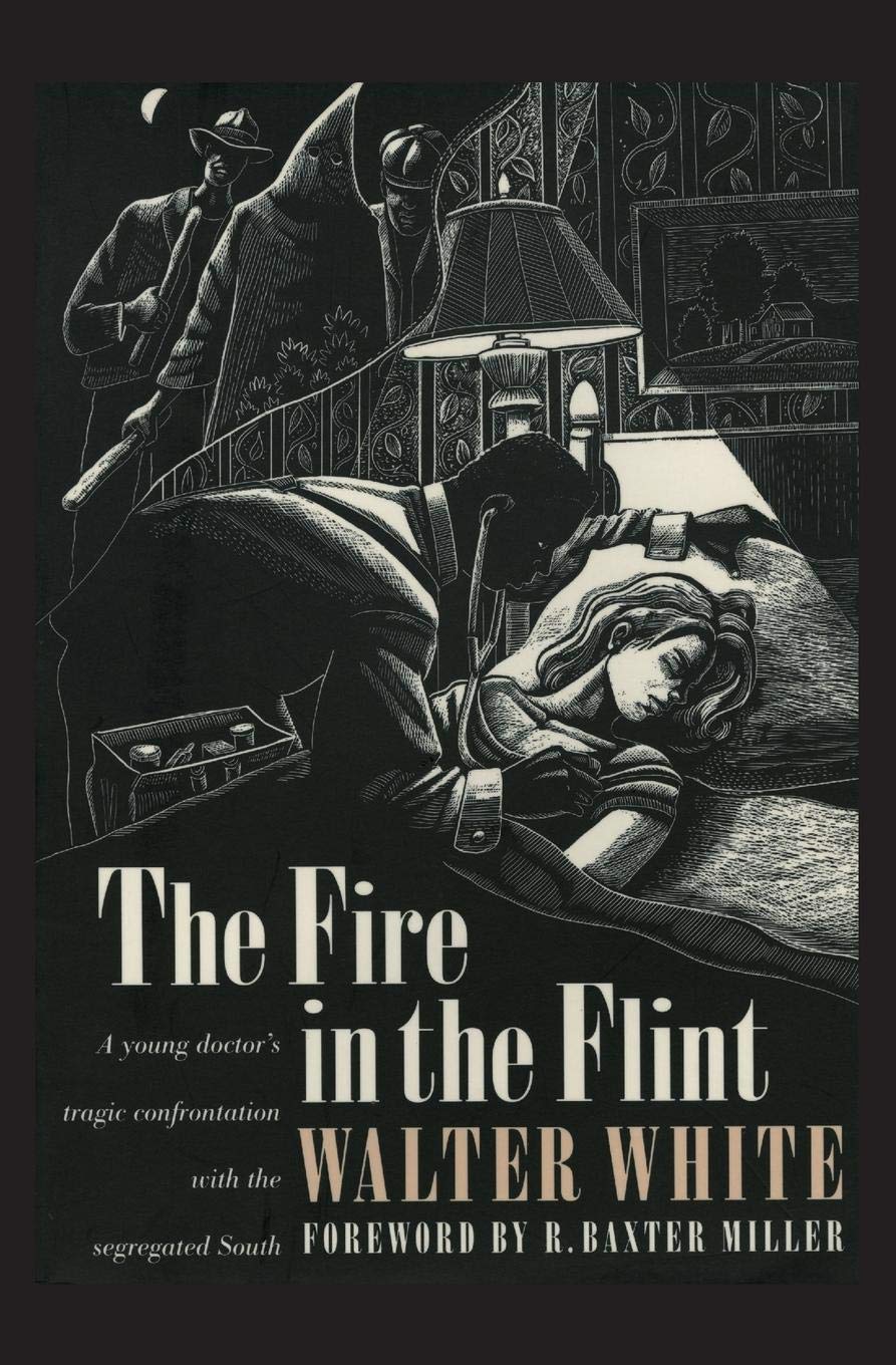 The Fire in the Flint - Historical Fiction Novel by Brown Thrasher Books | Civil War Era Drama for Book Clubs & Literature Lovers