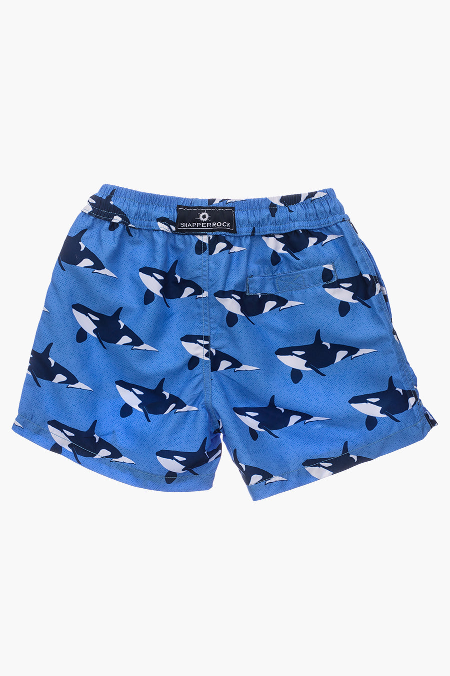 Boys' Swimwear - Snapper Rock Orca Ocean Volley Swim Trunks for Kids | Quick-Dry, UV Protection, Comfortable for Beach, Pool & Water Sports