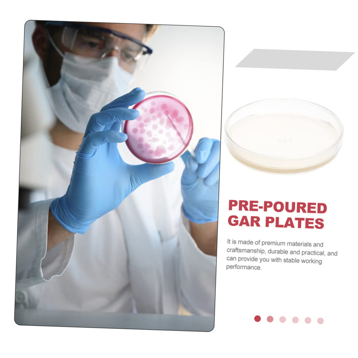 30 Pcs Nutrient Agar Petri Dishes for Mushroom Tissue Culture | Lab-Grade Agar Plates for Microbiology Experiments | Perfect for Classroom Labs, Home Science Kits & Kids STEM Projects