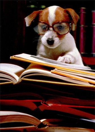 Funny Graduation Card with Puppy and Books - Perfect for Graduation Gifts, Congratulations, and School Celebrations