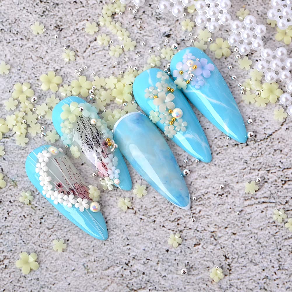 3D Flower Nail Charms & Metal Caviar Beads Set - Gold Silver Acrylic Resin Nail Art Decorations with Pickup Pencil for DIY Nail Design | Perfect for Manicures, Nail Salons & Home Nail Art Projects