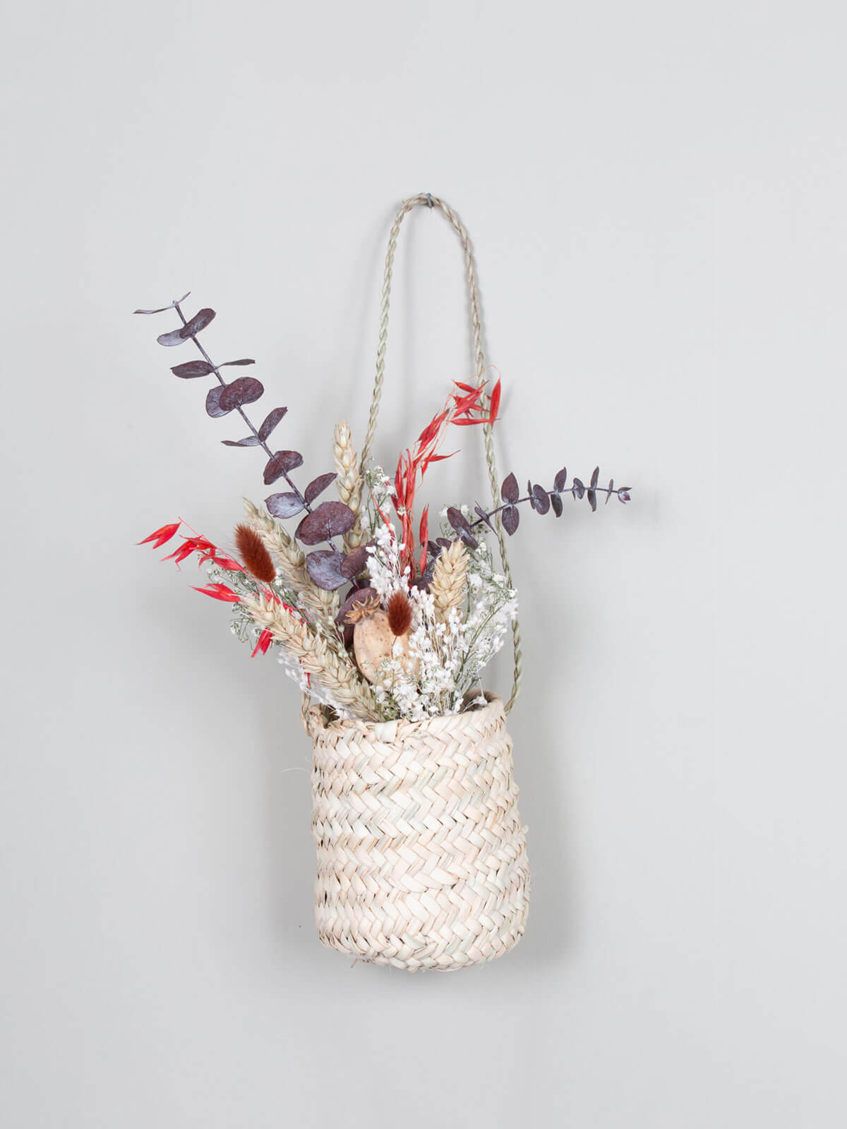 Mini Hanging Planter - Small Decorative Flower Pot for Indoor Plants, Succulents & Herbs - Perfect for Home, Office, Balcony & Garden Decor