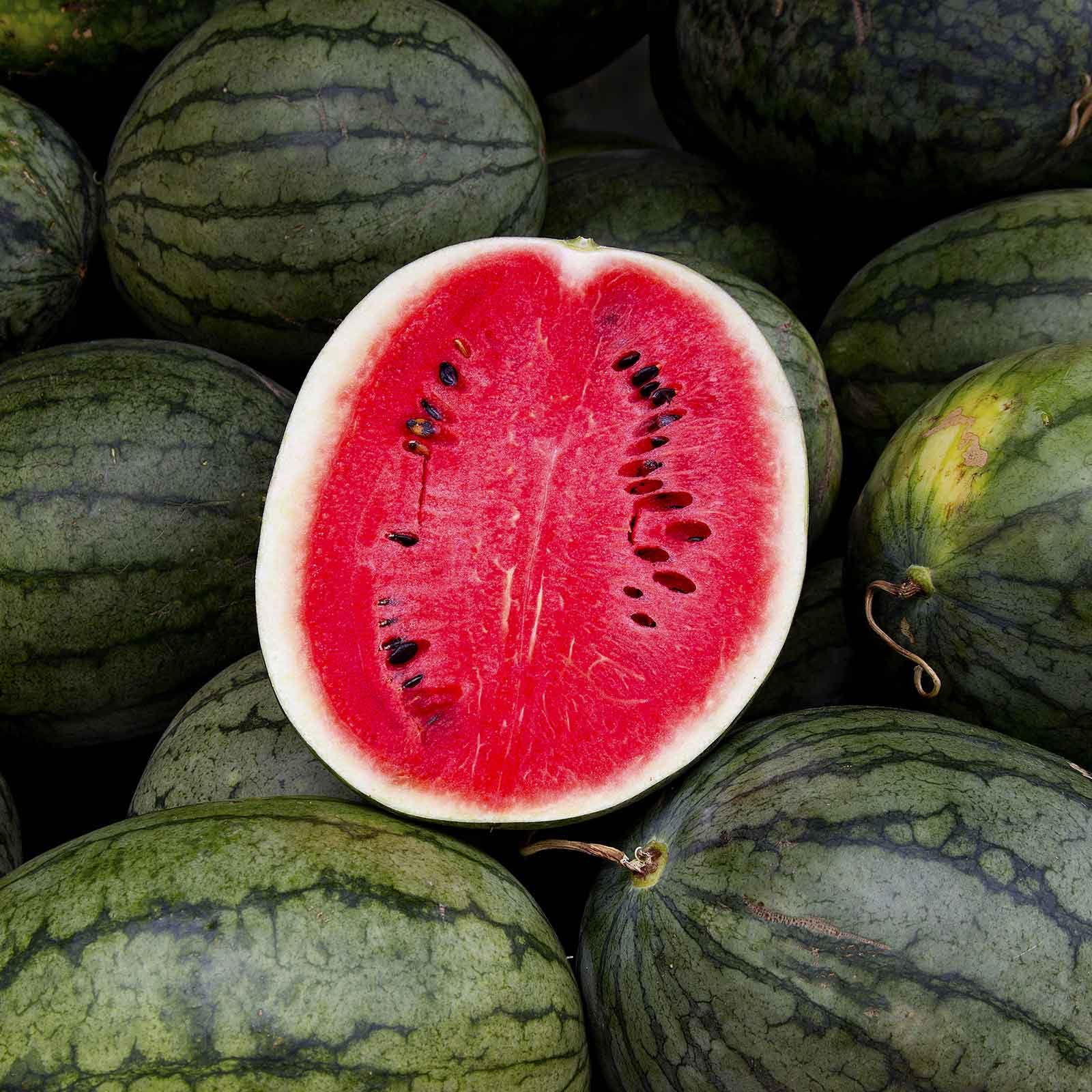 Eden Brothers Non-GMO Watermelon Seeds for Planting - Heirloom, Organic & Multiple Varieties | Easy to Grow Vegetable Garden Seeds for Home, Farm & Backyard Gardening
