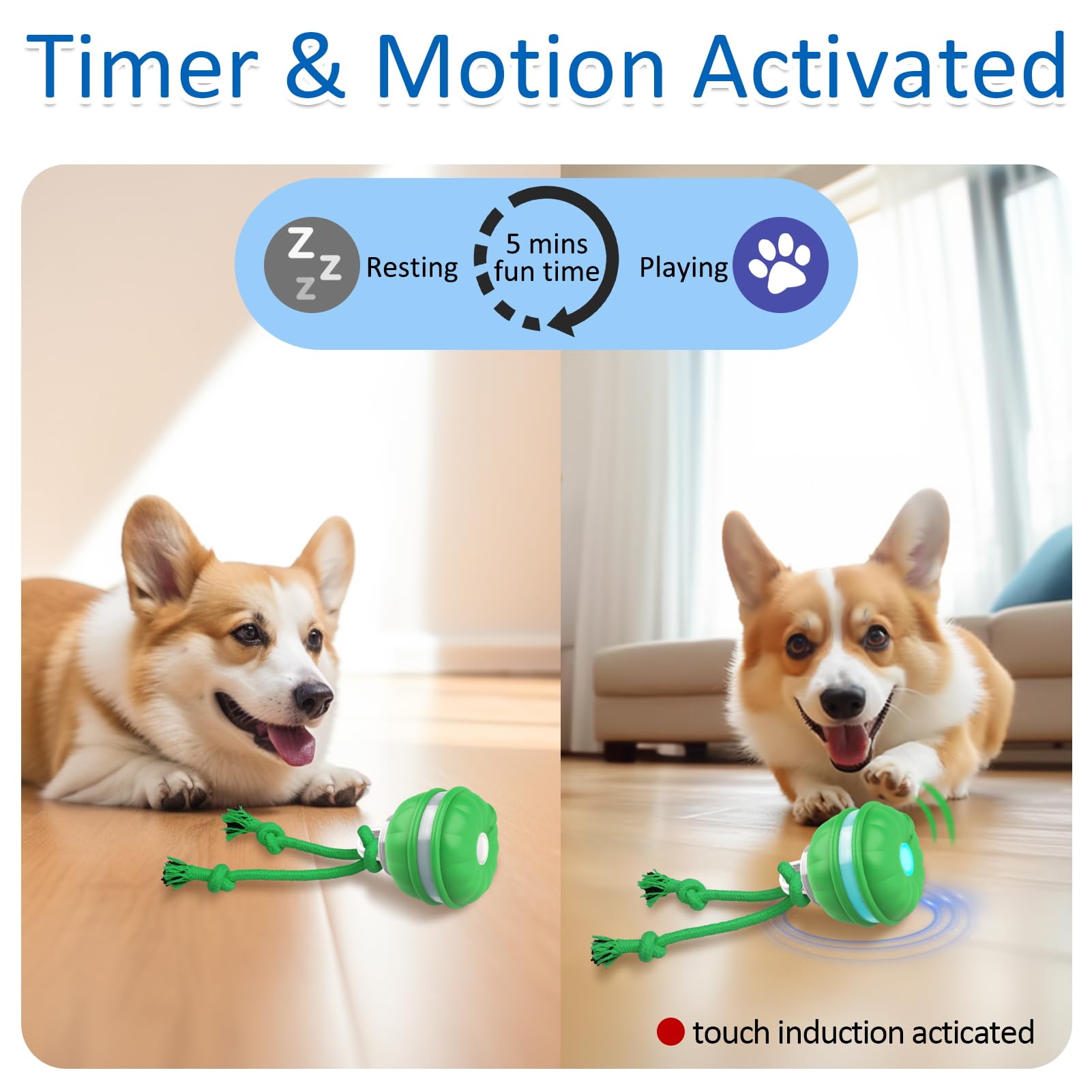 Interactive Dog Toys - Motion Activated Automatic Rolling Ball for Small Dogs & Puppies, Wicked Ball with Squeaky Sound - Fun Indoor/Outdoor Playtime & Training Reward for Active Pets